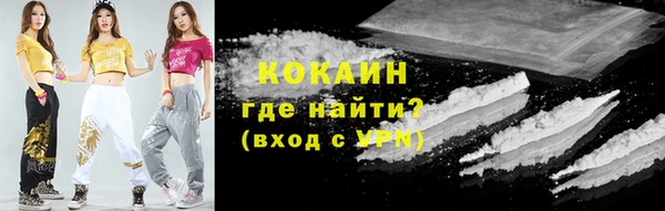 меф Дмитриев