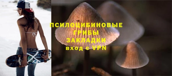 шишки Дмитров