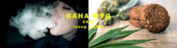 меф Дмитриев