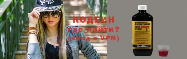 шишки Дмитров