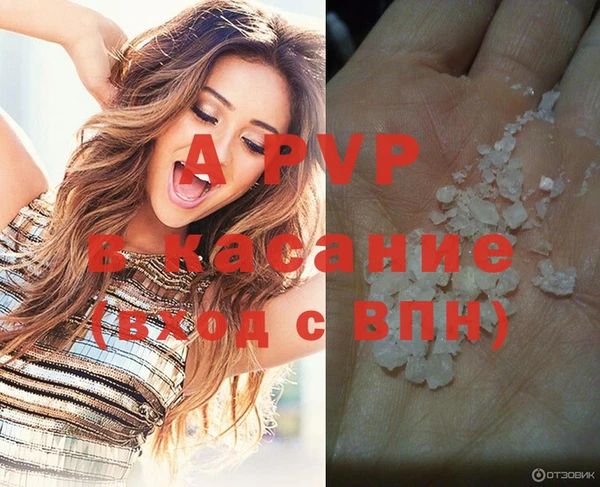 шишки Дмитров