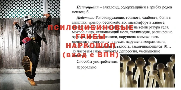 шишки Дмитров