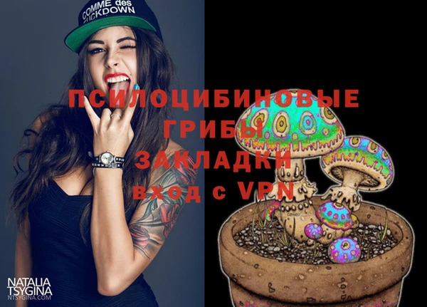 меф Дмитриев
