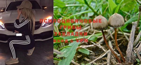 меф Дмитриев