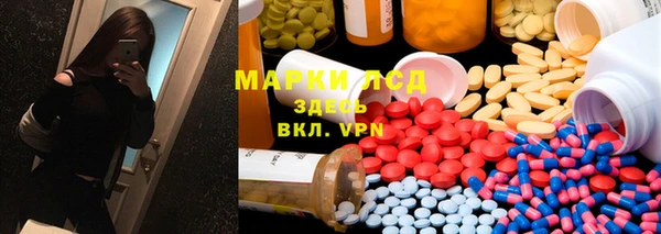 шишки Дмитров